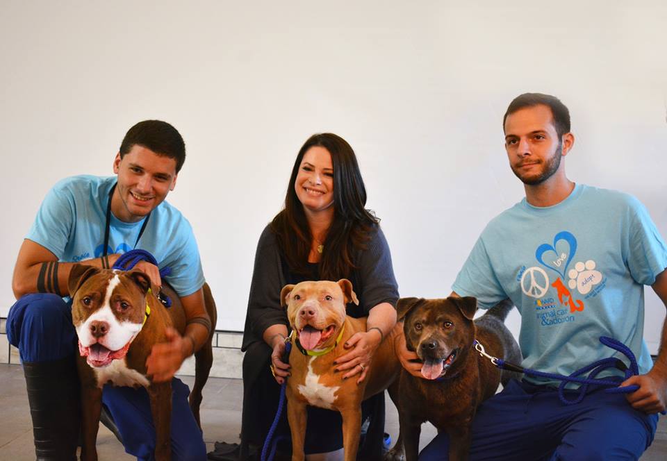 Get adopted